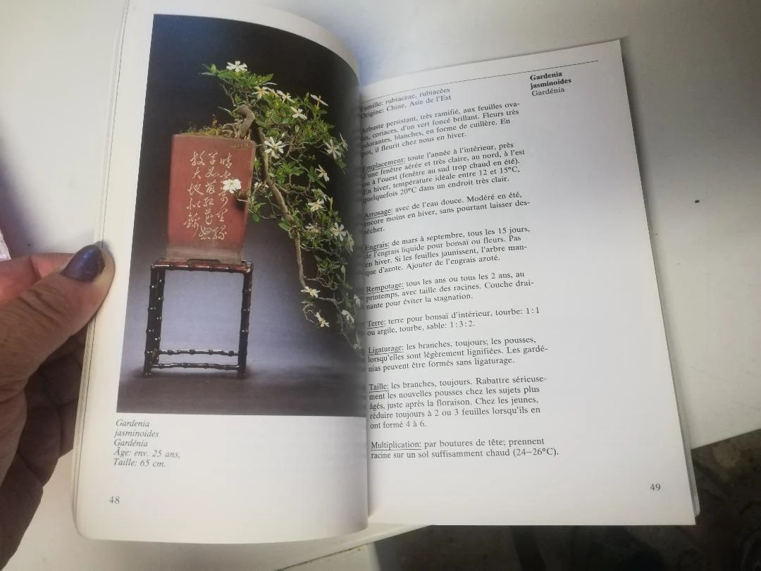 Book "INDOOR BONSAI" – photo 6